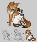 2016 ambiguous_gender blue_eyes canid canine canis cheek_tuft chest_tuft claws collar collar_only colored coyote coyoteprince cuff_(restraint) digital_drawing_(artwork) digital_media_(artwork) digitigrade dipstick_tail domestic_cat duo eyes_closed facial_tuft felid feline felis feral hi_res inner_ear_fluff kojote leg_markings mammal markings meezer mostly_nude neck_tuft nose_to_nose nude prick_ears restraints scarf scarf_only siamese signature simple_background sitting sketch socks_(marking) tail tail_cuff tail_markings toe_claws tuft whiskers 