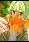  1boy autumn autumn_leaves blurry blurry_background blurry_foreground covering_mouth day depth_of_field fingernails fur-trimmed_jacket fur_trim green_hair green_jacket hand_up highres holding holding_leaf jacket leaf letterboxed looking_at_viewer making-of_available male_focus maple_leaf nagomi_(_nagomi_) open_clothes open_jacket orange_eyes original outdoors shirt short_hair solo upper_body white_shirt 