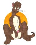  brown_body brown_fur circle_background erection fur male mammal mustelid otter tabbiewolf tail 