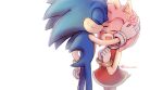  1boy 1girl amy_rose animal_ears animal_nose arm_up artist_name back bare_shoulders blue_fur bracelet closed_eyes commentary_request dress eyelashes flower furry furry_female furry_male gloves gold_bracelet hand_on_own_hip hands_up hedgehog hedgehog_ears hedgehog_girl hedgehog_tail hetero highres holding holding_flower jewelry nozomiaisha open_mouth pink_flower pink_fur red_dress simple_background sleeveless sleeveless_dress smile sonic_(series) sonic_the_hedgehog tail teeth tongue turtleneck turtleneck_dress white_background white_gloves 