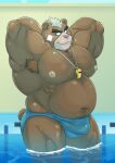  anthro ashigara bear blue_clothing blue_speedo blue_swimwear bulge clothed clothing detailed_bulge hands_behind_head hi_res jabuhusky male mammal musclegut pool seductive solo speedo swimwear topless underwear underwear_only whistle_(object) 