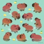  animal animal_focus aqua_background artist_name bathing black_eyes capybara closed_eyes closed_mouth commentary english_commentary food fruit no_humans original partially_submerged pikaole simple_background solid_circle_eyes water watermark yuzu_(fruit) yuzu_bath 