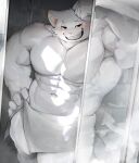  abs absurd_res anthro bedroom_eyes biceps big_muscles blush domestic_cat dona908 felid feline felis fur glass grin hi_res leaning looking_at_viewer male mammal muscular muscular_anthro muscular_male narrowed_eyes navel pecs quads raised_arm seductive shark_teeth sharp_teeth shower smile smug solo spade_tail tail teeth towel towel_around_waist towel_only white_body white_fur 