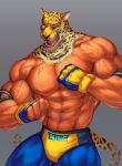  abs absurd_res animal_mask bandai_namco biceps big_muscles bodily_fluids felid hi_res human jaguar king_(tekken) looking_at_viewer male mammal mask mixterart muscular muscular_male open_mouth pantherine pecs solo sweat tekken vein veiny_muscles wrestler 