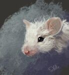  abstract_background black_eyes digital_media_(artwork) digital_painting_(artwork) female feral fihell fur hi_res looking_at_viewer mammal mouse murid murine pink_snout portrait realistic rodent solo whiskers white_body white_fur 