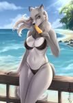  2023 absurd_res anthro beach bedroom_eyes big_breasts bikini black_bikini black_clothing black_swimwear breasts canid canine canis clothing day digital_media_(artwork) eating female fur grey_body grey_fur hi_res holding_object leaning looking_at_viewer mammal missachan narrowed_eyes neck_tuft popsicle_in_mouth popsicle_melting rayne_(antillion123) seaside seductive signature solo swimwear tail tuft wolf yellow_eyes 