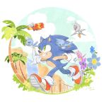  1boy aircraft airplane bird blue_flower cloud dated finik flower furry furry_male gloves grass highres outdoors palm_tree purple_flower running shoes signature solo sonic_(series) sonic_the_hedgehog tree white_gloves 