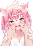  1girl animal_ear_fluff animal_ears arm_grab breasts cat_ears cat_girl finger_in_another&#039;s_mouth green_eyes hamico haruka_(hamico) highres long_hair looking_at_viewer medium_breasts mouth_pull original pink_hair pov pov_hands shirt sweat tears two_side_up white_background white_shirt 