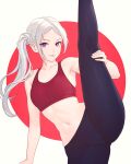  1girl absurdres bare_arms bare_shoulders commentary crop_top edelgard_von_hresvelg fire_emblem fire_emblem:_three_houses highres leg_up long_hair looking_at_viewer midriff navel purple_eyes smile solo sports_bra standing standing_on_one_leg stomach thighs truejekart very_long_hair white_hair 