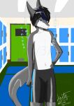  absurd_res anthro black_hair blue_eyes cetacean clothed clothing dolphin fin grey_body hair hi_res kaito_(kaitoaoi_0120) kaitoaoi_0120 locker_room male mammal marine solo swimming_trunks swimwear tail tail_fin toothed_whale topless topless_male white_body 