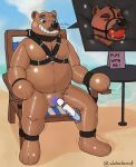  alebehemut anthro ball_gag bdsm beach beach_chair blue_eyes bondage bound brown_body brown_fur chair clothing collar cuff_(restraint) fur furniture gag harness hi_res latex leather leather_cuffs leather_harness leather_strap lock_symbol magic_wand male null_bulge on_chair overweight overweight_anthro overweight_male pool_toy restraints rubber rubber_clothing rubber_suit seaside sitting sitting_on_chair solo table 