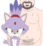  anthro blaze_the_cat blush bodily_fluids domestic_cat duo facial_hair felid feline felis female goatee human ian_flynn imminent_sex interspecies male male/female mammal nude overweight sega sonic_the_hedgehog_(series) sweat unknown_artist yellow_eyes 