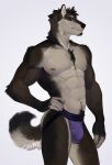  abs anthro bedroom_eyes black_body black_fur black_hair black_nose body_hair brown_body brown_fur bulge canid canine canis cheek_tuft chest_hair chest_tuft cillaroz clothed clothing dipstick_tail eyebrows facial_hair facial_tuft fur genital_outline goatee hair hi_res jockstrap jockstrap_only looking_at_viewer male mammal markings mexican_wolf multicolored_body multicolored_fur muscular muscular_anthro muscular_male narrowed_eyes nipples pecs penis_outline pubes pubes_exposed purple_clothing purple_underwear sade_(canonical) scar_on_face seductive simple_background smile smiling_at_viewer solo solo_focus tail tail_markings topless tuft two_tone_body two_tone_fur underwear underwear_only white_body white_eyebrows white_fur wolf 