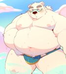  0119_muu 2023 anthro bear belly big_belly blush bulge clothing cloud eyewear glasses kemono leib_(tas) lifewonders male mammal moobs navel nipples outside overweight overweight_male polar_bear solo swimwear tokyo_afterschool_summoners ursine 