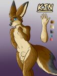  4:3 aafox196 anthro balls biped canid canine digital_media_(artwork) fennec fox front_view fur genitals girly hi_res kin_(dat_one_doge) looking_at_viewer male mammal model_sheet nude penis portrait shy simple_background solo standing tail 