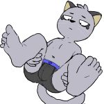  2022 5_fingers 5_toes anthro bulge domestic_cat feet felid feline felis fingers fur grey_body grey_fur hajime_tanaka_(odd_taxi) half-closed_eyes hi_res holding_both_legs holding_own_legs looking_at_self lying male mammal narrowed_eyes navel nekotanyanneko odd_taxi on_back presenting serious simple_background solo spread_legs spreading tail toes white_background 