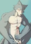  abs anthro balls beastars big_knot big_penis bodily_fluids canid canine canis cum genital_fluids genitals hi_res knot leaking_cum legoshi_(beastars) male mammal mrkatman nude penis solo solo_focus white_balls wolf 