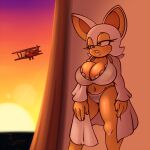  anthro bat big_breasts biplane bra breast_squish breasts clothed clothing female huge_breasts hyoumaru mammal open_clothing open_robe panties robe rouge_the_bat sega solo sonic_the_hedgehog_(series) squish sunset underwear 