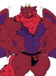  2023 anthro body_hair canid canine canis chest_hair clothed clothing dragon dumbandgreen facial_hair felid fur hair hi_res horn hybrid jewelry lion male mammal muscular muscular_anthro muscular_male necklace pantherine red_body red_fur solo tattoo tongue underwear wings wolf 