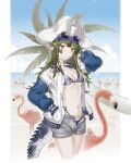  1girl absurdres arknights arm_up beach bestramos bikini bird blue_sky breasts cloud commentary_request cropped_legs day eyewear_on_head flamingo gavial_(arknights) gavial_the_invincible_(arknights) gavial_the_invincible_(holiday)_(arknights) green_hair grey_shorts hand_in_pocket highres jacket long_hair looking_at_viewer navel official_alternate_costume open_clothes open_fly open_jacket palm_tree short_shorts shorts sky small_breasts smile solo standing stomach sunglasses swimsuit thighs tree white_headwear yellow_eyes 