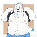 anthro bandage bare_chest belly blush canid canine canis domestic_dog fur hi_res lifewonders live_a_hero male mammal moobs navel nipples nordic_sled_dog overweight rolled_up_shirt samoyed solo spitz topknot white_body white_fur yaki_atsuage yohack 