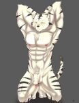  abs anthro balls barefoot biceps casual_nudity feet felid flaccid foreskin fur genitals hanzo_james humanoid_genitalia humanoid_hands humanoid_penis male mammal muscular muscular_anthro muscular_male navel nipples nude pantherine pecs penis simple_background solo solo_focus stripes tiger 