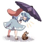  1girl animal aqua_skirt barefoot blue_eyes blue_hair blue_vest blush full_body geta heterochromia juliet_sleeves karakasa_obake long_sleeves open_mouth puffy_sleeves red_eyes rokugou_daisuke shirt short_hair signature simple_background skirt smile solo tanuki tatara_kogasa touhou umbrella vest white_background white_shirt 