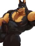  abs anthro balls black_body black_fur canid canine canis casual_erection casual_nudity dobermann domestic_dog erection foreskin fur genitals hi_res humanoid_genitalia humanoid_penis looking_at_viewer male mammal manly muscular muscular_anthro muscular_male navel nipples nude pecs penis pinscher simple_background solo solo_focus tonygonza15 white_background 