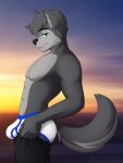  absurd_res anthro bedroom_eyes blue_eyes blue_seam_briefs briefs bulge canid canine canis clothing depth_of_field fur grey_body grey_fur hi_res looking_at_viewer male mammal meme narrowed_eyes outside sebtheredpanda seductive solo standing sunset tight_pants_(meme) underwear white_briefs white_clothing white_underwear wolf zach_the_wolf 