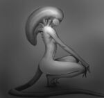  2019 alien alien_(franchise) alien_humanoid big_head breasts convenient_censorship crouching featureless_face featureless_feet female fingers full-length_portrait grey_background greyscale humanoid long_tail medium_breasts monochrome not_furry nude plantigrade portrait shaded side_view simple_background slim solo tail tiptoes towerpractice xenomorph 