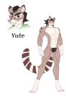  absurd_res andromorph anthro brown_body brown_eyes brown_fur cacomistle cacomixtle fur genitals hi_res intersex james_jaguar14 male maleherm mammal markings procyonid pussy solo tail tail_markings yute_(zotec) 