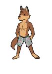  anthro canid canine canis hi_res male mammal multicolored_body pecs shorts_only simplistic standing wolf 