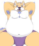  5:6 anthro armpit_hair belly big_belly bigboywuff body_hair bulge canid canine canis chest_tuft clothing hair hi_res male mammal nipples open_mouth pecs solo spread_legs spreading tuft underwear wolf 