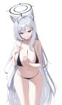  1girl absurdres animal_ear_fluff animal_ears ass_visible_through_thighs bikini black_bikini blue_archive blue_eyes breasts cleavage commentary_request english_commentary grey_hair grin halo highres large_breasts leaning_forward long_hair magya416 mismatched_pupils mixed-language_commentary navel shiroko_(blue_archive) shiroko_terror_(blue_archive) simple_background smile solo stomach swimsuit thighs very_long_hair white_background wolf_ears 