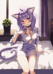  1girl absurdres ahoge animal_ear_fluff animal_ears black_collar blush breasts cat_ears cat_girl cat_tail cleavage collar curtains highres holding hololive large_breasts looking_at_viewer medium_hair mottiie mouth_hold naked_shirt nekomata_okayu nekomata_okayu_(4th_costume) plant potted_plant purple_curtains purple_eyes purple_hair purple_ribbon ribbon shirt solo tail virtual_youtuber white_shirt 