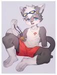  anthro blue_eyes bottomwear clothing domestic_cat eyewear felid feline felis goggles grey_body hair hi_res lifeguard looking_at_viewer male mammal multicolored_body open_mouth shirt shorts sitting solo tank_top topwear toye2004 whistle young 