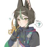  1boy ? animal_ear_fluff animal_ears black_gloves black_hair blush commentary earrings english_text flying_sweatdrops fox_boy fox_ears genshin_impact gloves green_eyes green_hair highres hood hoodie jewelry looking_at_viewer male_focus medal multicolored_hair papipipi71 simple_background single_earring solo sparkle spoken_question_mark sweat sweatdrop tighnari_(genshin_impact) white_background 