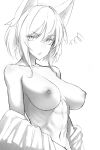 1girl actinium89 animal_ear_fluff animal_ears bare_shoulders breasts collarbone greyscale highres medium_breasts medium_hair monochrome navel nipples open_mouth original sketch solo toned topless undressing 