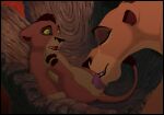  anthro balls bodily_fluids disney duo erection felid female feral genitals hi_res incest_play kaion kovu licking lion male male/female mammal oral pantherine penis the_lion_king tongue tongue_out young zira 