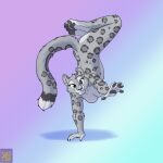  1:1 anthro black_pawpads breasts dipstick_tail featureless_breasts felid female foxenawolf fur gradient_background handstand looking_at_viewer mammal markings nude pantherine pawpads simple_background snow_leopard solo spots spotted_body spotted_fur tail tail_markings 