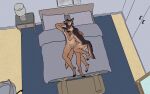  anthro askim askim_shepherd balls bed bedroom butt canid canine canis chair cuddling domestic_dog duo father father_and_child father_and_son flaccid furniture genitals german_shepherd herding_dog hi_res incest_(lore) jaxneesen lamp male male/male mammal mirror nude parent parent_and_child pastoral_dog penis sleeping son zeus_(askim_shepherd) 