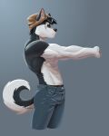  abs anjing_kampuss anthro biceps canid canine canis clothed clothing domestic_dog hi_res joseph_(anjing_kampuss) male mammal muscular muscular_male nordic_sled_dog solo spitz topless 