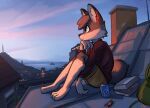  2023 anthro backpack barefoot beverage_can building canid canine city clothed clothing cloud detailed_background digital_media_(artwork) enginetrap feet fox fully_clothed fur mammal outside rooftop sea sky solo water 