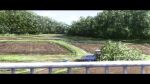  blurry blurry_foreground bush car commentary day farm forest fracoco grass highres landscape letterboxed motor_vehicle nature no_humans original outdoors railing road scenery signature tree 