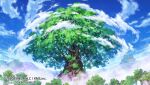  2020 blue_sky cloud cloudy_sky company_name day fog forest giant_tree mist_train_girls mistorene_callus nature ono_tomohiro original scenery sky tree 