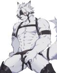  2023 abs absurd_res anthro biceps big_muscles canid canine canis clothing elainehwang_1 hair harness hi_res jockstrap looking_at_viewer male mammal mihoyo muscular muscular_anthro muscular_male red_eyes simple_background solo underwear von_lycaon white_body white_hair wolf zenless_zone_zero 