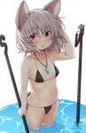  1girl :o animal_ear_fluff animal_ears bikini black_bikini blush commentary_request covered_nipples dowsing_rod flat_chest from_above grey_hair hair_between_eyes holding_rod jewelry looking_at_viewer mixed-language_commentary mouse_ears naegi_(naegidokoro) nazrin open_mouth partially_submerged pendant petite pink_eyes simple_background solo swimsuit touhou water white_background 