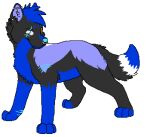  2012 aliasing alpha_channel ambiguous_gender arm_scar black_body black_fur blind_eye blue_body blue_fur blue_nose blue_scar bluekyokitty canid canine digital_drawing_(artwork) digital_media_(artwork) digitigrade ear_piercing eye_scar facial_piercing facial_scar feral flat_colors full-length_portrait fur head_tuft industrial_piercing low_res mammal nose_piercing nose_ring paws piercing portrait ring_piercing scar sebdoggo shoulder_scar simple_background smile solo standing tail transparent_background tuft white_body white_fur wrist_scar 