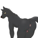  1:1 absurd_res anal anthro black_body black_fur canid canine canis fur genitals hi_res looking_at_viewer looking_back male mammal penis rear_view simple_background solo wolf wolfsai 