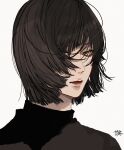  1boy bishounen black_hair black_sweater brown_eyes closed_mouth hair_over_one_eye highres kagoya1219 looking_at_viewer male_focus one_eye_covered original portrait short_hair signature simple_background solo sweater turtleneck turtleneck_sweater white_background wind 